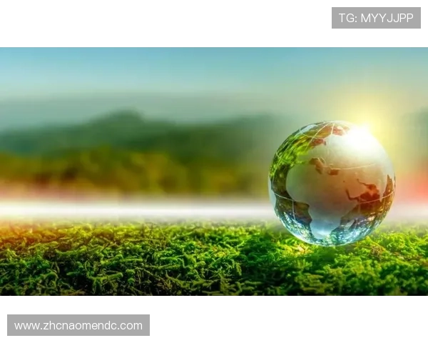 新濠国际发展官网:关注企业社会责任与可持续发展战略的最新动态信息 新濠国际发展官网:关注企业社会责任与可持续发展战略的最新动态信息