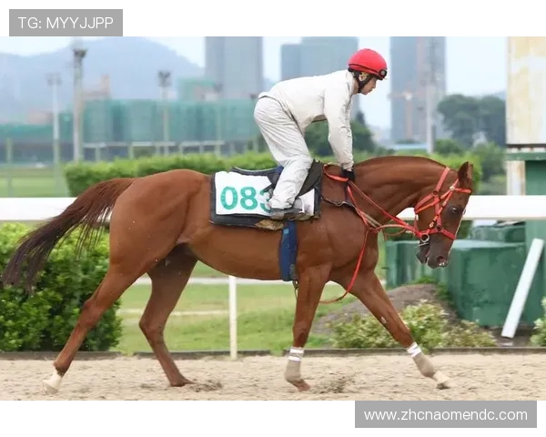 澳门赛马官网直播在线观看最新赛马比赛精彩片段与赛事分析